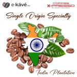 India Plantation India Plantation